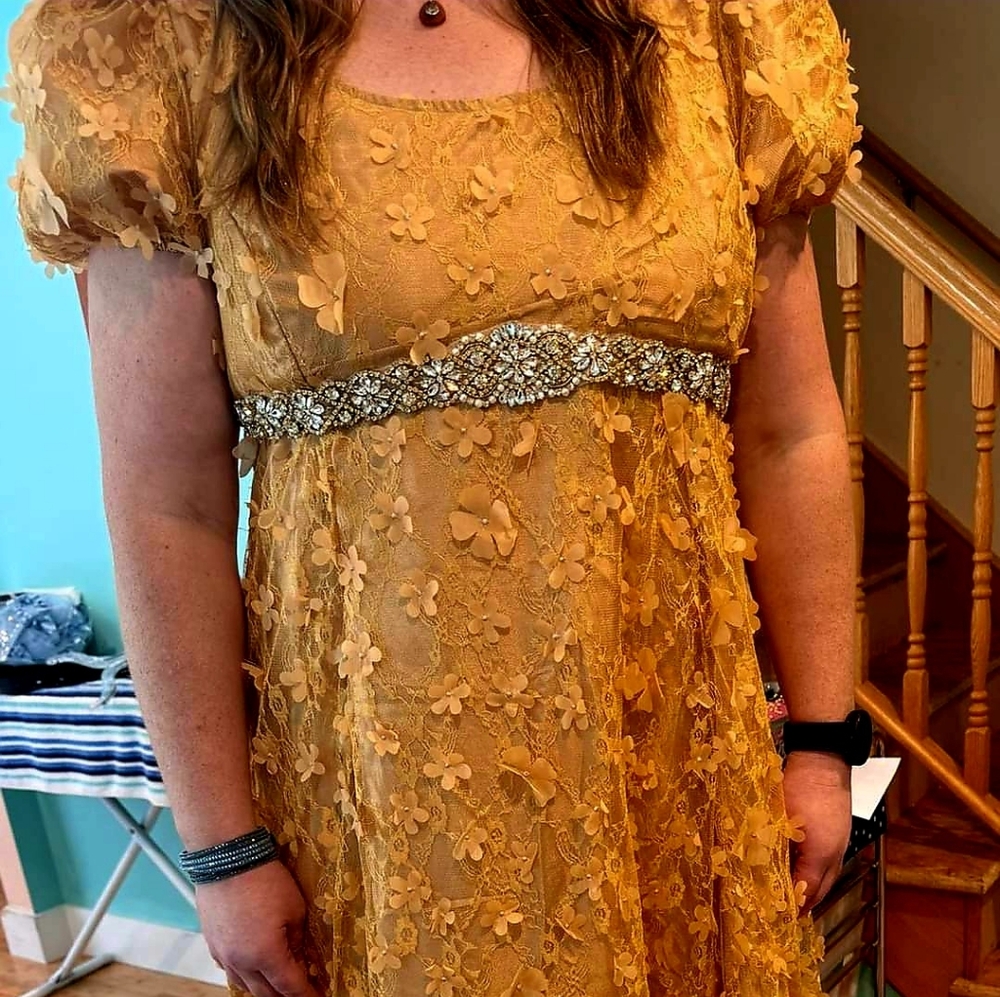 Regency Dress - Picture 5 of 6